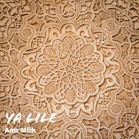 Amr Mlih